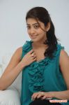 Tamil Actress Pranitha 598
