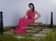 Tamil Actress Pranitha 7338