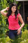 Tamil Actress Pranitha Photos 4694