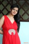 Preethi Das Stills 3798