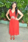 Tamil Actress Preethi Das 2802