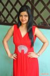 Tamil Actress Preethi Das 9108