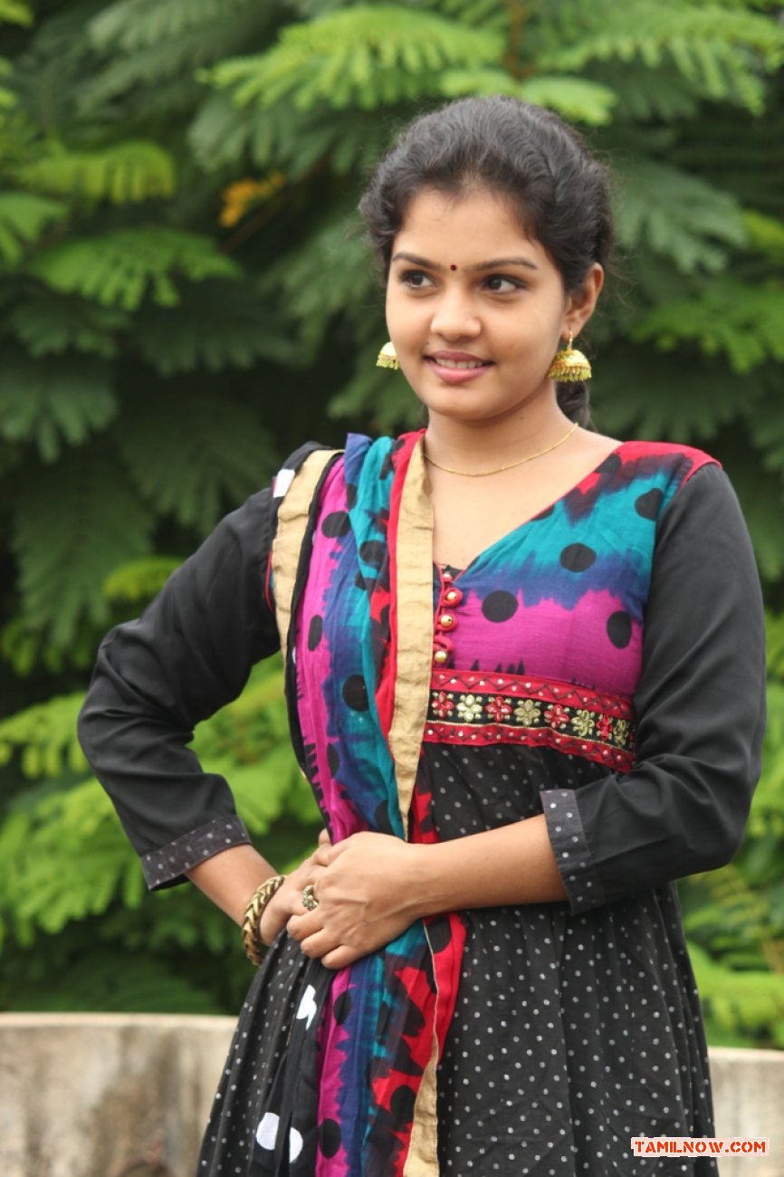 Tamil Actress Preethi 8981