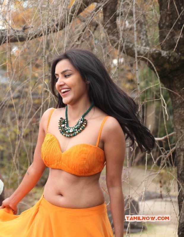 Latest Album Priya Anand Tamil Movie Actress 6543