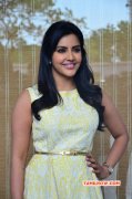 South Actress Priya Anand New Image 148