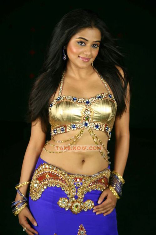 Actress Priyamani Photos 7737
