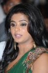 Actress Priyamani Picture 765