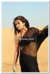 Actress Priyamani Still 6