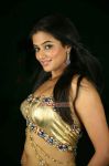 Priyamani 5256