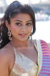 Priyamani New Pic 318