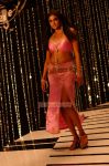 Priyamani Photo 8419
