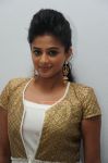 Priyamani Photos 7737