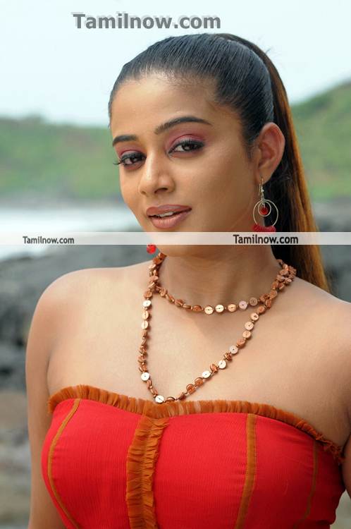 Priyamani Spicy Pic 11