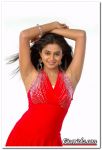 Priyamani Still 0010