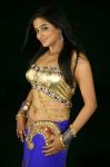 Tamil Actress Priyamani 3211