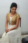 Tamil Actress Priyamani 3535