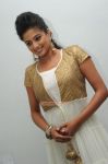 Tamil Actress Priyamani Photos 2623