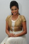 Tamil Actress Priyamani Photos 8253