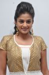 Tamil Actress Priyamani Photos 8273