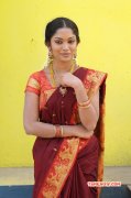 2014 Gallery Priyanka Cinema Actress 9067