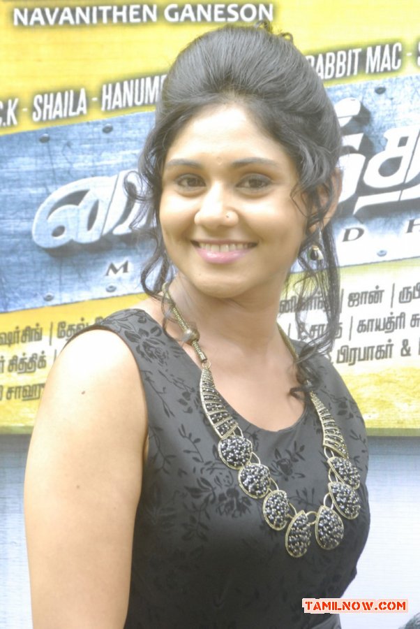 Tamil Actress Punnagai Poo Geetha Photos 1796