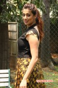Actress Raai Laxmi Gallery 4145