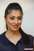 Actress Raai Laxmi Stills 7104