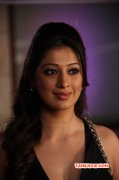 New Gallery Raai Laxmi Movie Actress 4159