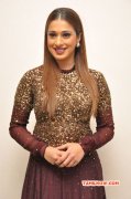 Raai Laxmi Latest Picture 3025