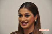 Raai Laxmi South Actress 2015 Still 2074