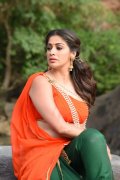 Raai Laxmi South Actress Albums 9004