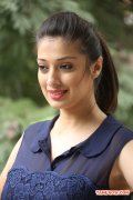 Raai Laxmi Stills 3806