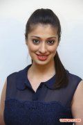 Tamil Actress Raai Laxmi 6658