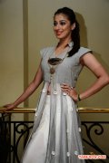 Tamil Actress Raai Laxmi Photos 2174