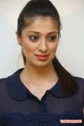 Tamil Actress Raai Laxmi Photos 4352