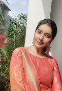 2020 Pics Raashi Khanna South Actress 7779