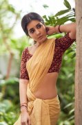 Nov 2020 Pic Raashi Khanna Tamil Heroine 9514
