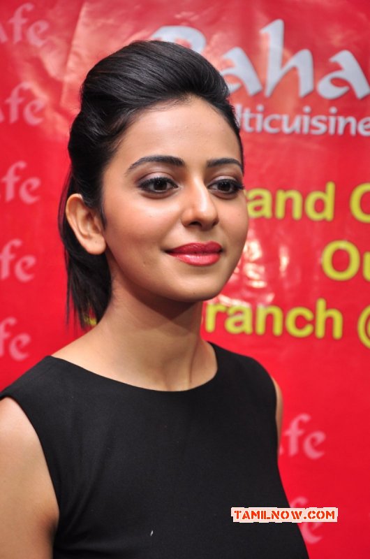 2015 Pics Rakul Preet Singh Movie Actress 5793