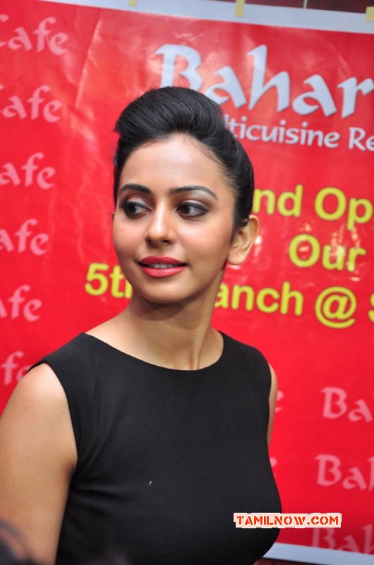 2015 Pictures Rakul Preet Singh Film Actress 9685
