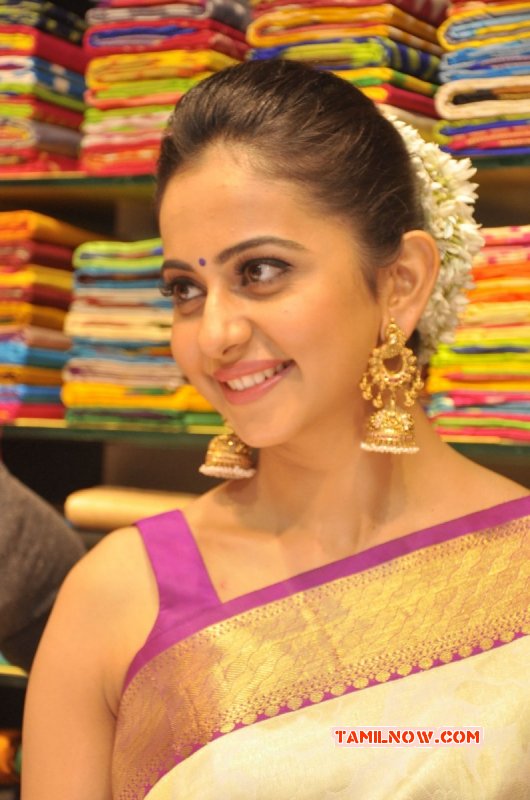 Actress Photo Rakul Preet Singh In Saree 958