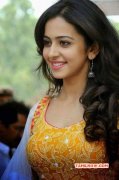 Latest Pics Rakul Preet Singh Indian Actress 9159