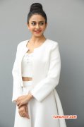 Latest Stills South Actress Rakul Preet Singh 3545