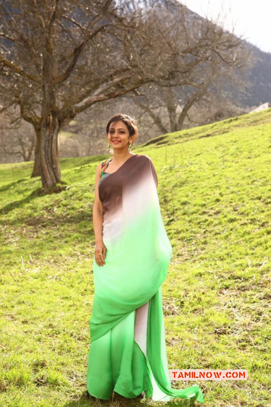New Image Rakul Preet Singh Tamil Movie Actress 9046
