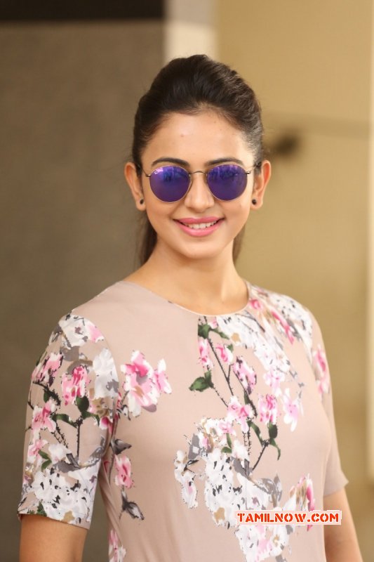 New Photos Rakul Preet Singh Movie Actress 6366