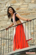 Rakul Preet Singh 5716