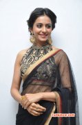 Rakul Preet Singh Cinema Actress Recent Gallery 6590