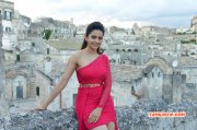 Rakul Preet Singh Hot In Bruce Lee Actress New Photo 93