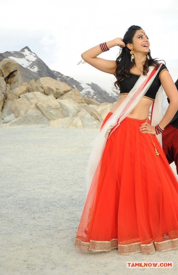 Rakul Preet Singh Photos 3314