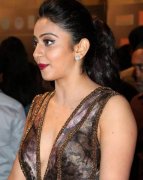 Rakul Preet Singh Tamil Actress Recent Pic 7506