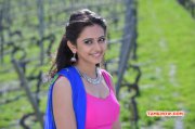 Rakul Preet Singh Tamil Heroine New Photo 6878